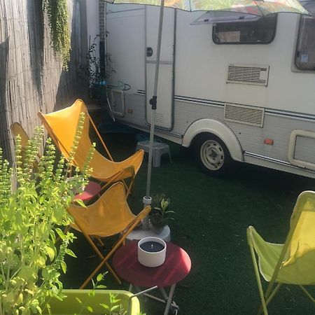 Gardencaravan Near Ghent In Green Area Hotel Екстериор снимка